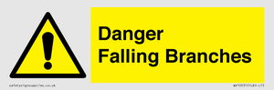Danger Falling Branches